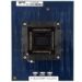 FVE2ASMR144LQFD  Socket Cards