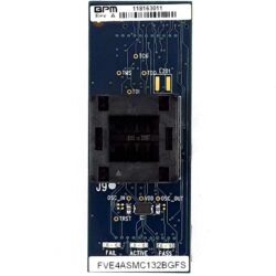 FVE4ASMC132BGFS  Socket Cards